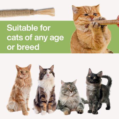 Purralux Natural Silvervine Dental Sticks
