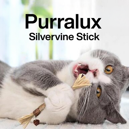 Purralux Natural Silvervine Dental Sticks